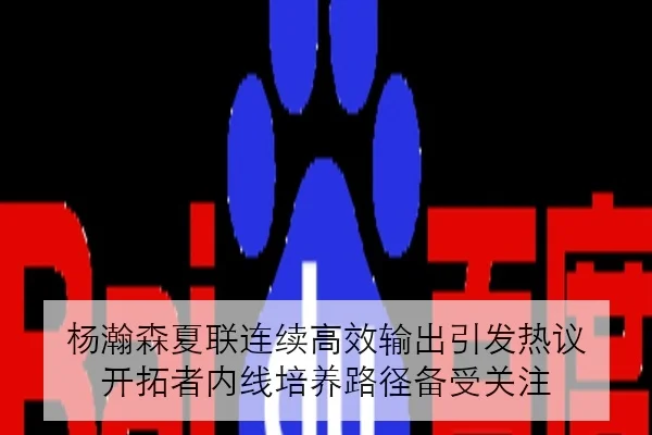杨瀚森夏联连续高效输出引发热议 开拓者内线培养路径备受关注